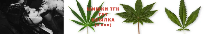 прущие крисы Кинешма