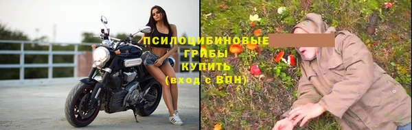 spice Киренск